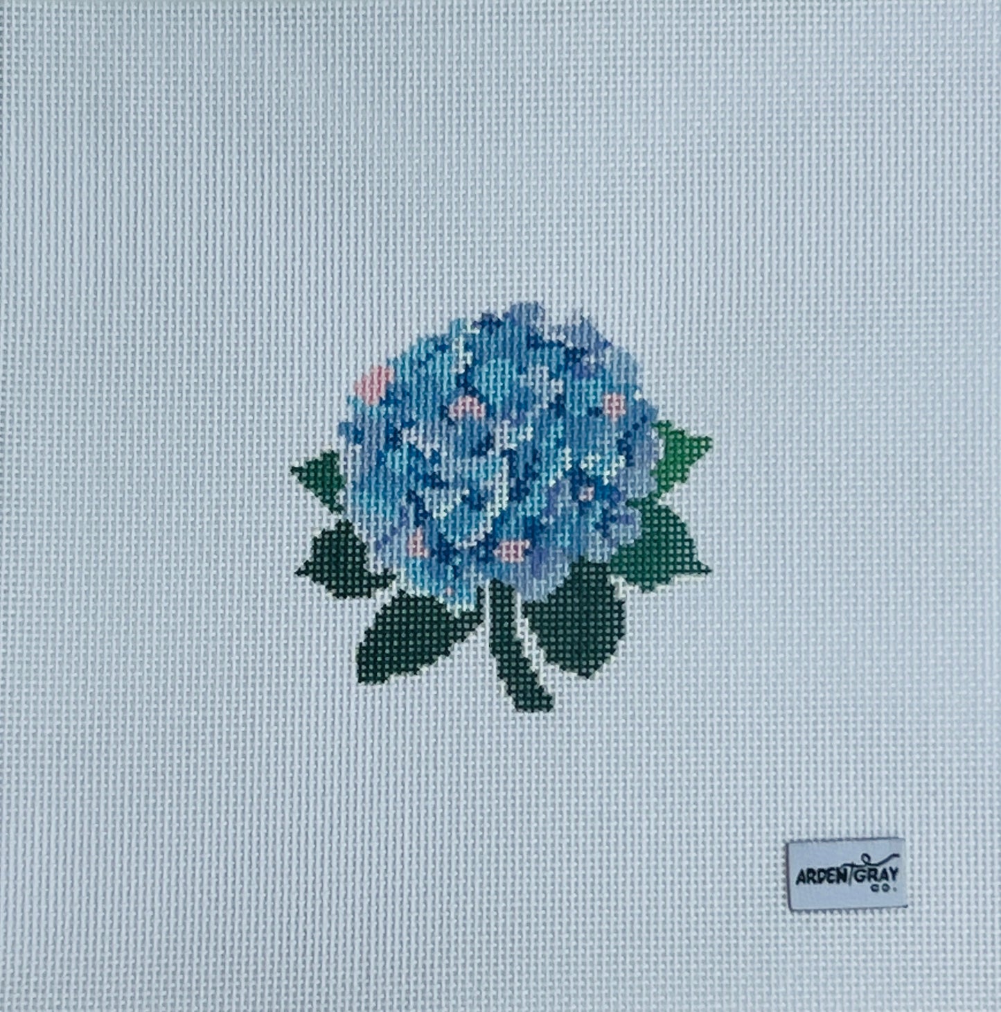 Colorful Hydrangea