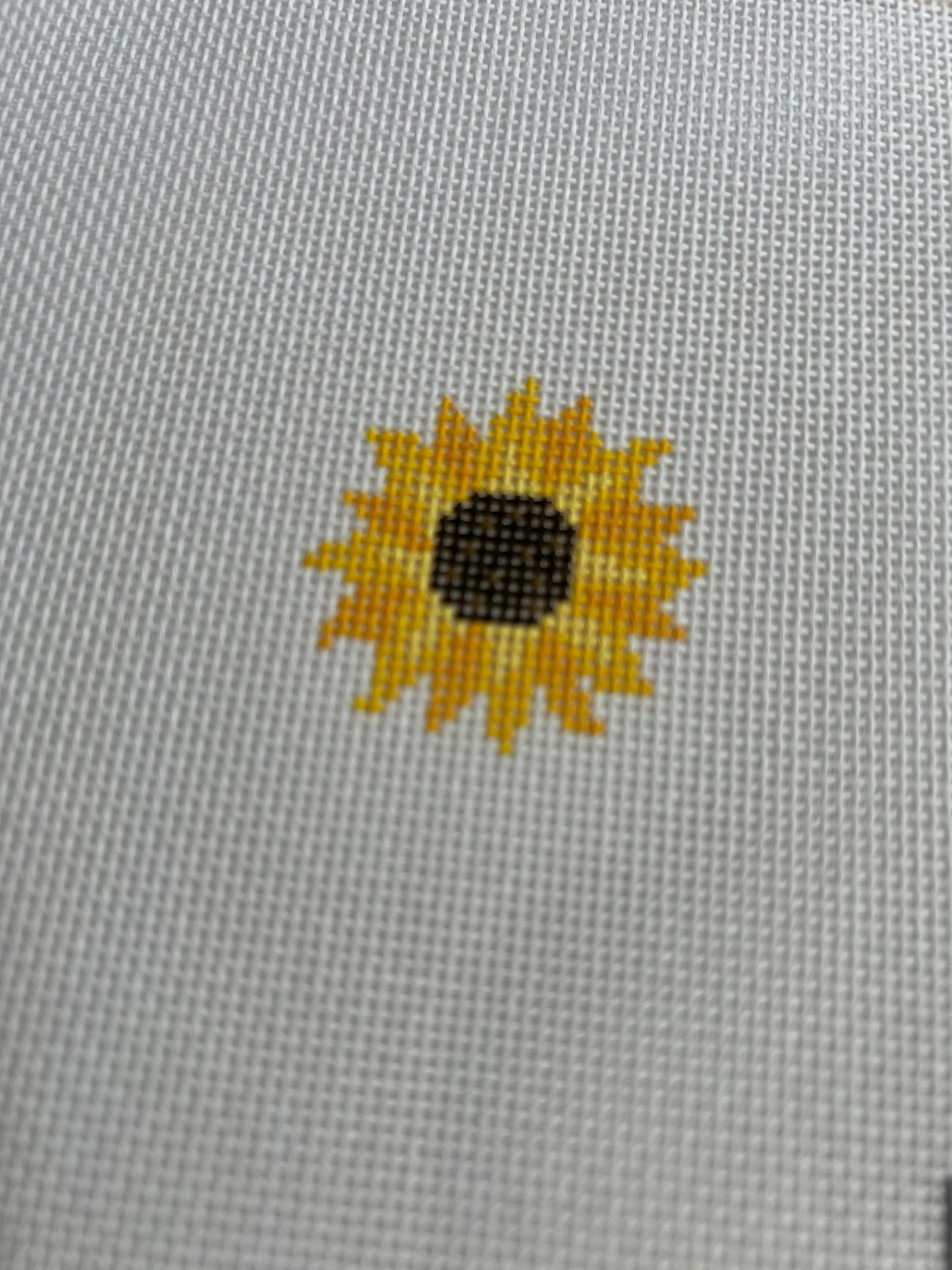 Sunflower mini