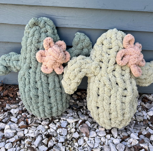 Hand Knit Cactus Kit, Hand Knit Cactus, Knit Cactus Kit, Chunky Cactus Kit