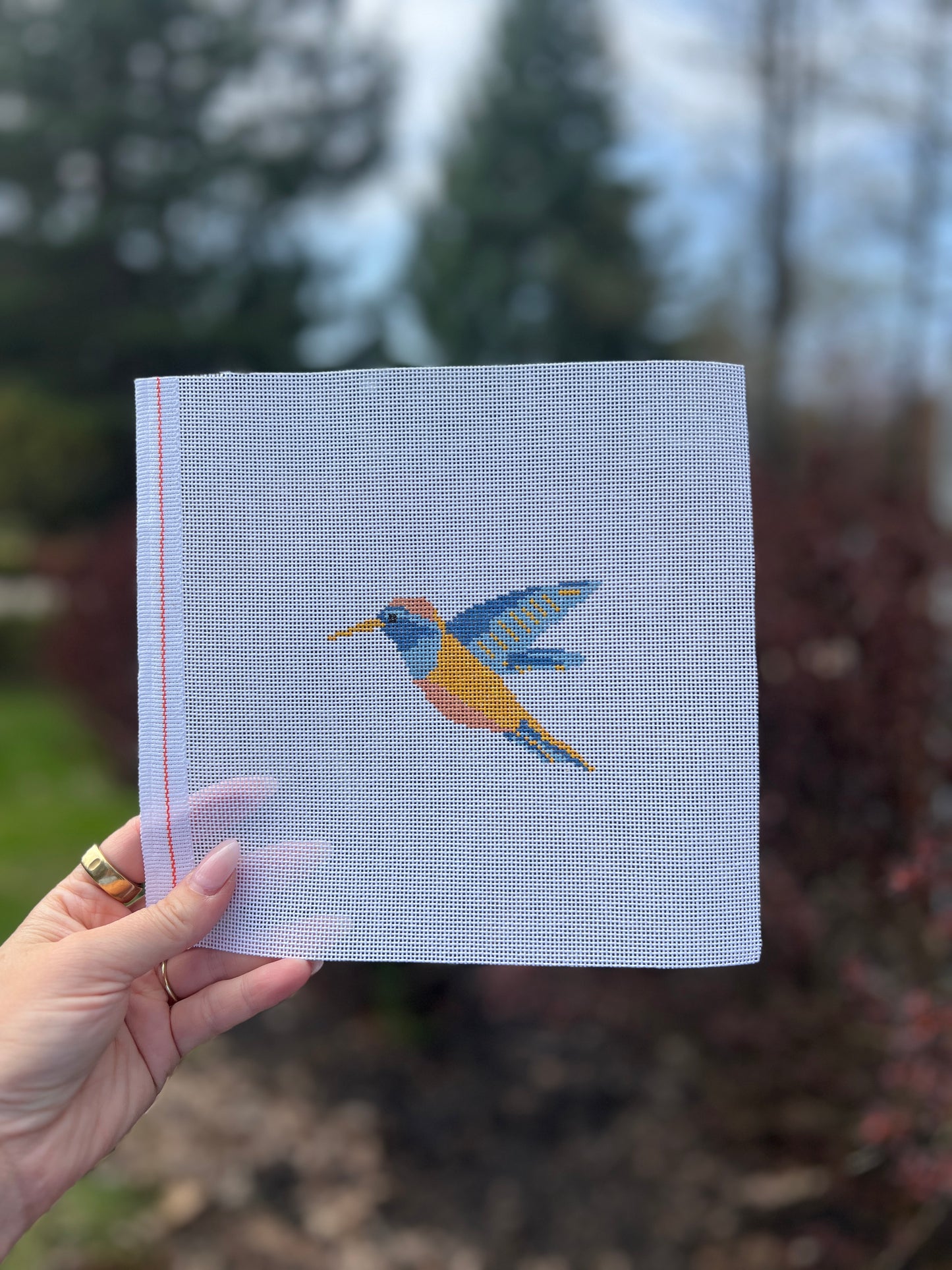 Colorful hummingbird