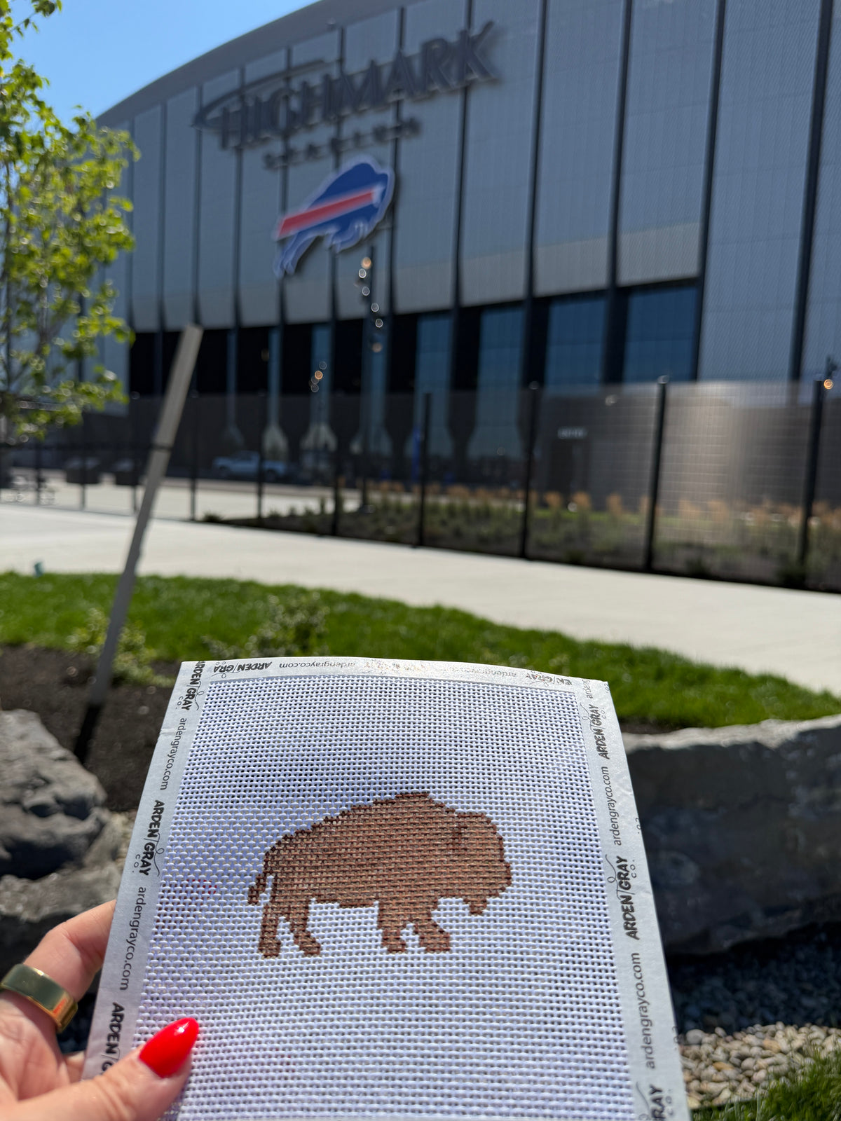 Needlepoint 101 Buffalo November 20