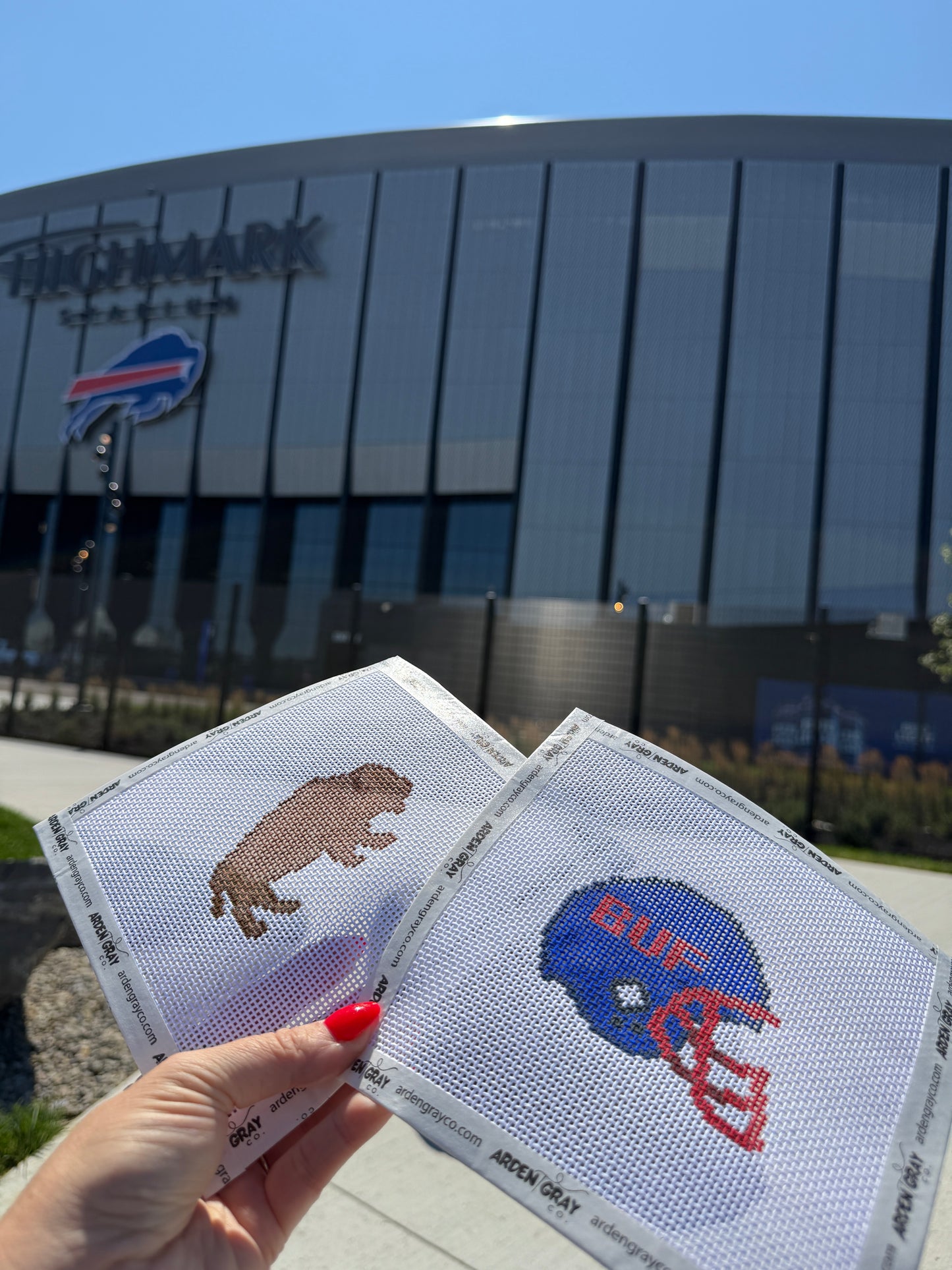 Buffalo Outline