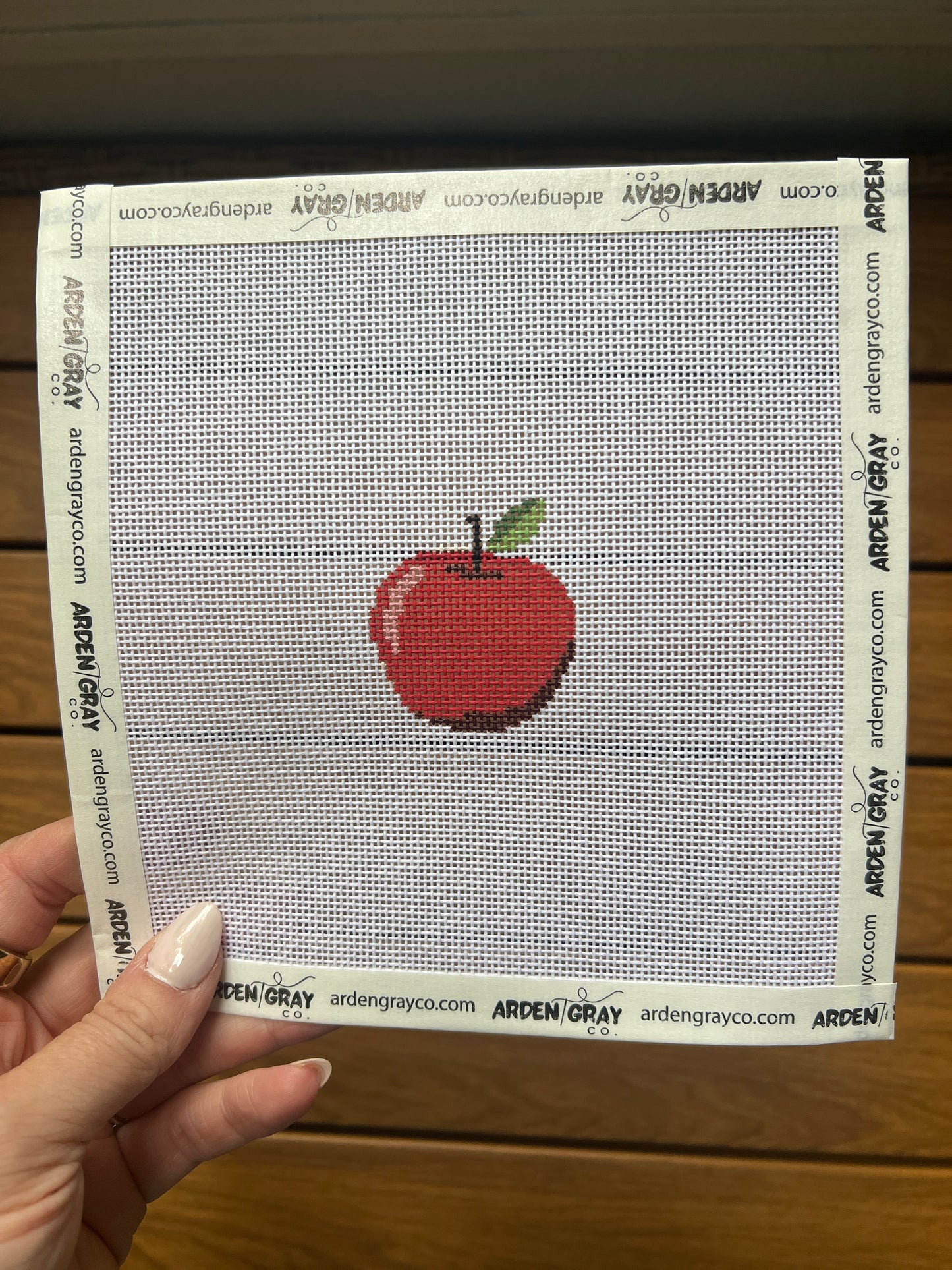 Apple mini needlepoint canvas