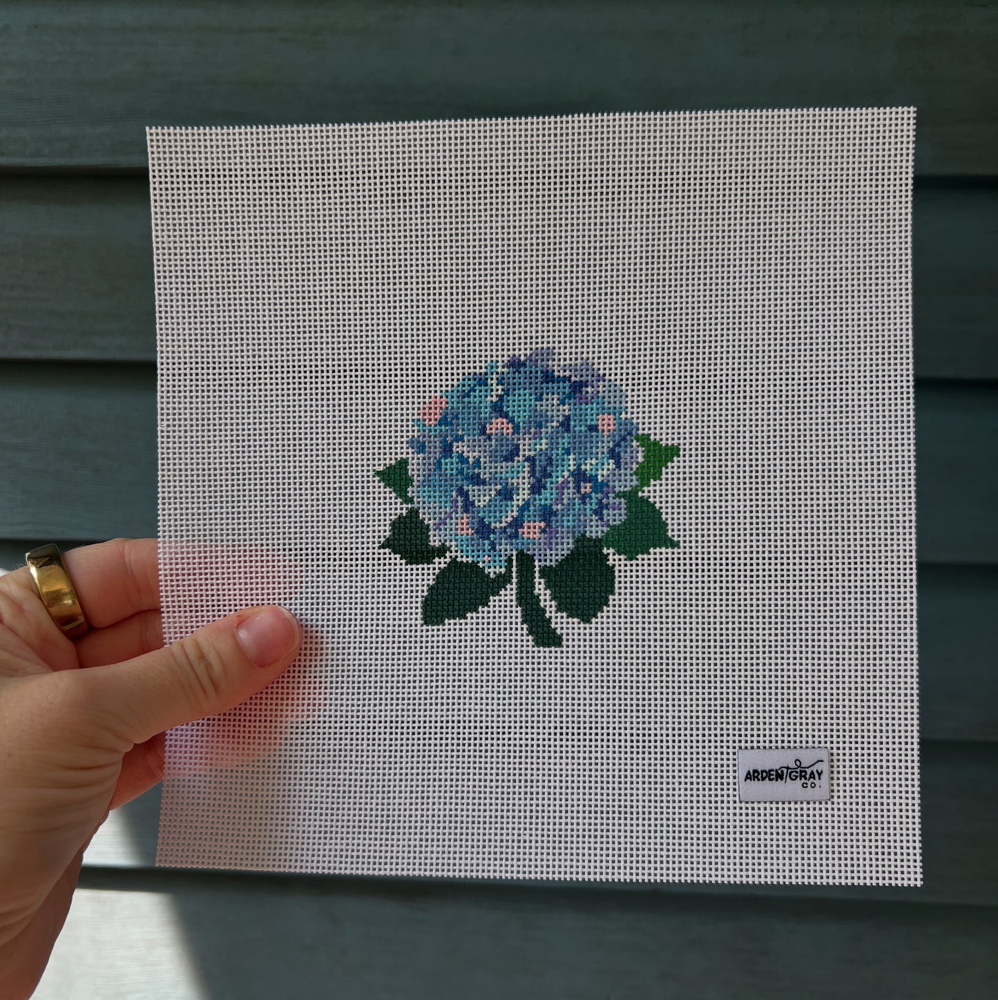 Colorful Hydrangea