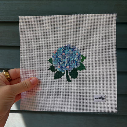 Colorful Hydrangea