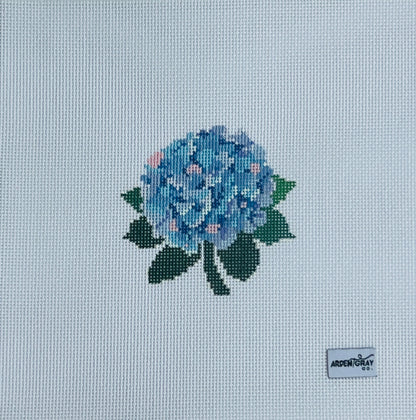Colorful Hydrangea
