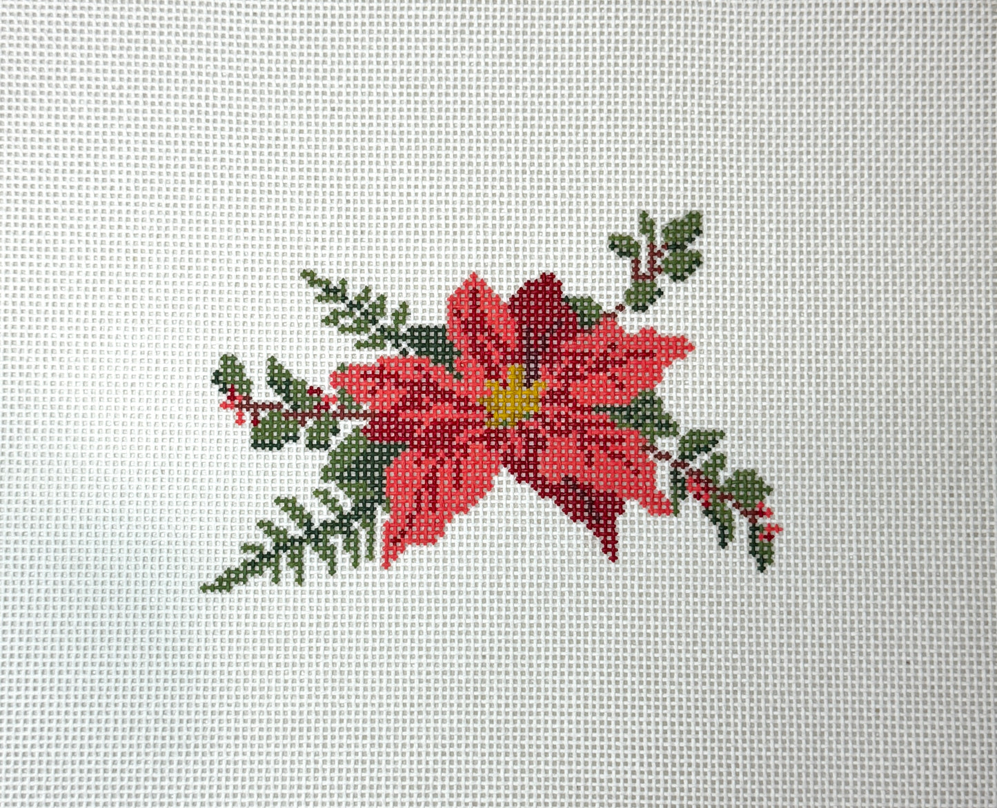 Poinsettia