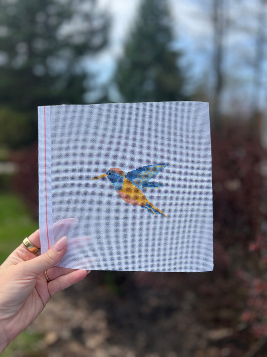 Colorful hummingbird