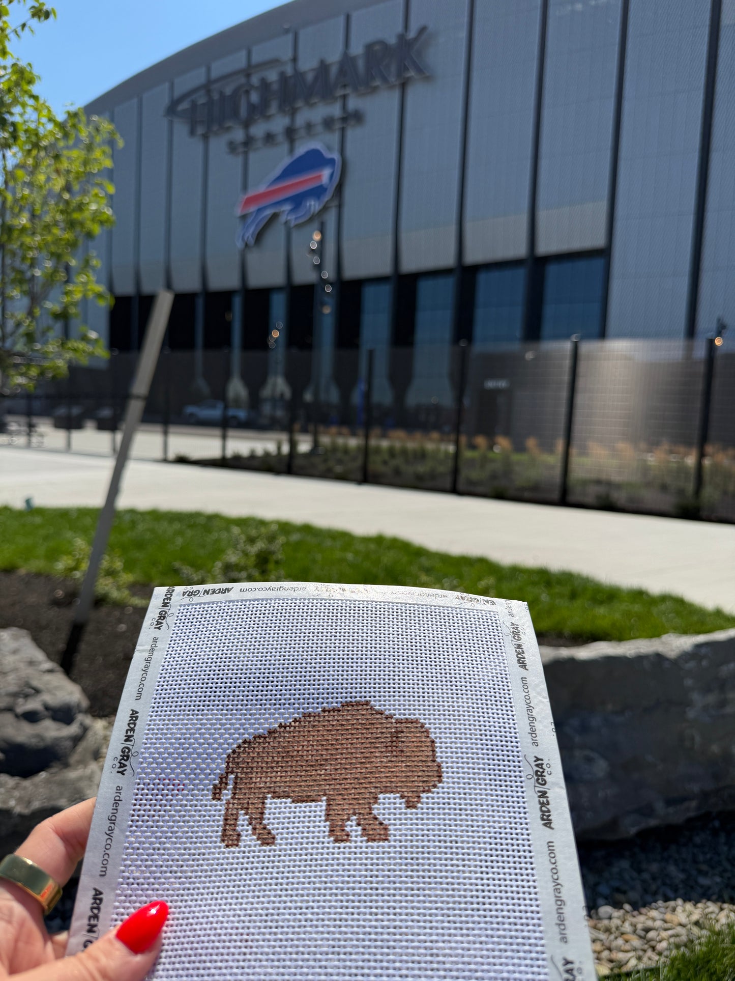 Buffalo Outline