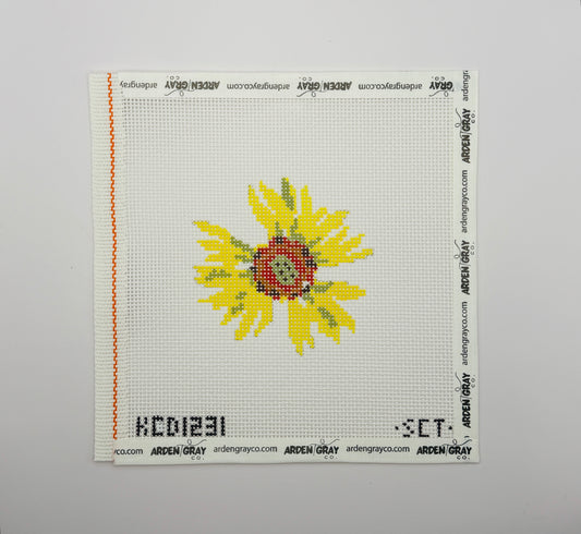 Gaillardia Canvas